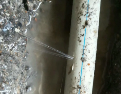 陆良测漏水哪家好