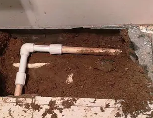 陆良测漏水哪家好