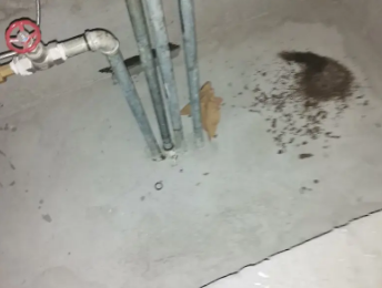 陆良卫生间测漏水价格明细