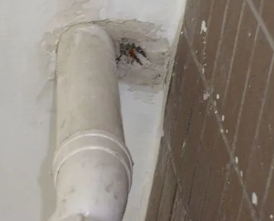 陆良漏水检测哪家好